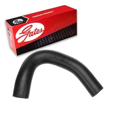 Manguera de refrigerante de radiador Gates superior para Jeep Wrangler 1987-1995 Foto 1 de 3