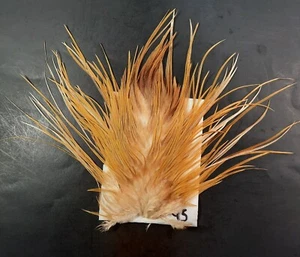 Ginger Rooster Saddle Hackle Long Thin Dry Fly Tying Feathers #45 - Picture 1 of 4
