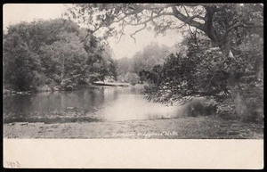 Hindhead Waggoners Wells Surrey Postcard - Picture 1 of 2