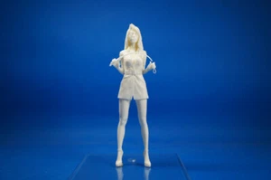 Resin Kit 751 1/12 Girl with leather whip - Picture 1 of 8