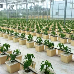 Planting Box Greenhouse Bucket Hydroponics Grow Buckets - Picture 1 of 12