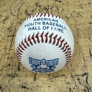 COOPERSTOWN DREAM PARK OFFICIAL BALL American Youth Baseball HALL OF FAME - Picture 1 of 8