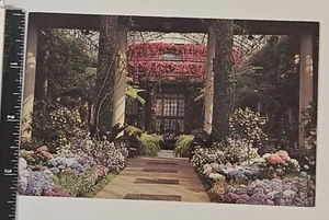 Vintage Longwood Gardens Postcard - Kennett Square, PA - Picture 1 of 2