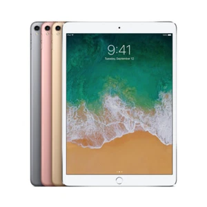 Apple iPad Pro 10.5 256GB WiFi Fair Condition - All Colors - Afbeelding 1 van 5