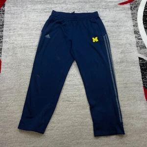 Adidas Michigan Wolverines Sweatpants Large Blue Yellow Climawarm Drawstring Men - Picture 1 of 11