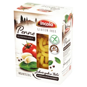 (12,80€/kg) GLUTENFREI Nudeln PENNE 250g glutenfreie Pasta Laktosenfrei - Bild 1 von 1