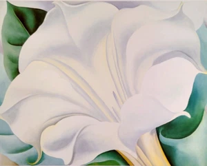 Georgia O' Keeffe Flowers White Trumpet Flower Vintage Art Print Book Plate 97 - Picture 1 of 3