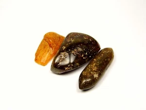 Konvolut 3 Baltische Bernsteine 49gr. Multicolor Natur echt poliert 6733 - Bild 1 von 6