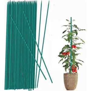 Green Flower Sticks Bamboo Split Garden Canes Plant Support 12" 24" 36" - Picture 1 of 7