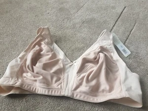Nessa Beige Full Cup Bra Non Wired /non padded Soft Cups PLUS SIZE UK 50D BN - Picture 1 of 12