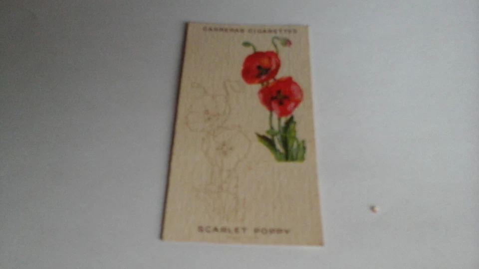 Carreras . Wild Flowers. Scarlet Poppy .No 17 - Image 1 of 2