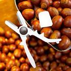 Chestnuts Clip Clamp Shell Chestnuts Peeler for Kitchen Household Dining Room