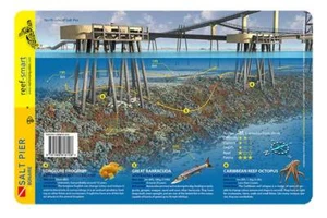 Salt Pier Bonaire Reef Smart Waterproof Dive Card - Picture 1 of 2