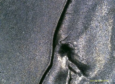 2004-P Michigan Quarter with Die Crack and Grease Strike Error - Image 1 of 4