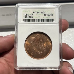 Vintage 1965 Irland Penny ANACS MS64 ROT frühe Probe Platte Seifenkiste Pence Münze - Bild 1 von 9