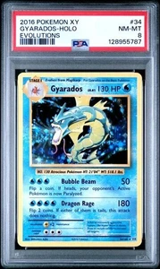 2016 Pokemon XY Evolutions #34/108 Gyarados-Holo PSA 8 - Bild 1 von 2