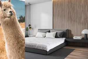 Luxus Alpaka Wollbettdecke mittlere Quilt natürlich ganzjährig/Jahreszeiten hypoallergen - Bild 1 von 12
