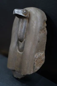 Wadjet Goddess : Egypt's Serpent Guardian of Divine Protection - Picture 1 of 6