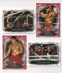 2015 TOPPS WWE UNDISPUTED ORTON VS ROLLINS CAGE EVOLUTION MOMENTS #19 - Picture 1 of 1
