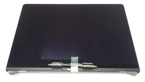Genuine Apple LCD Screen Assembly 16" MacBook Pro A2141 2019 2020 Replacement B0 - Afbeelding 1 van 2