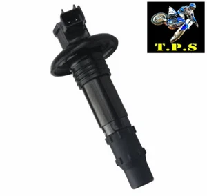 IGNITION COIL PACK: SEADOO 150 155 180 200 210 215 230 SPEEDSTER WAKE CHALLENGER - Picture 1 of 1