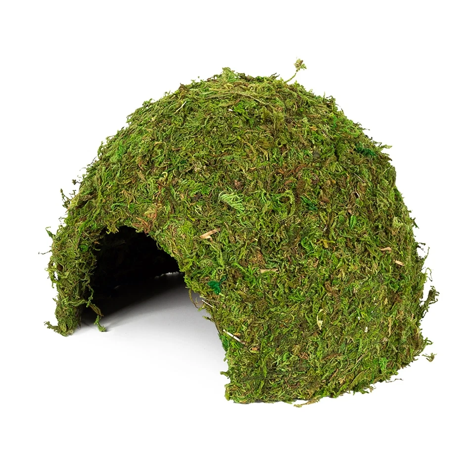 Hobby Jungle Cave - Höhle für Terrarien - Gr. 1 natürliches Moos Feuchtigkeit