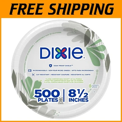 Dixie Pathways Paper Plates, 500 Ct, Medium-Weight - Image 1 of 4