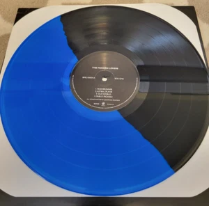 THE MODERN LOVERS LP Newbury Comics Exclusive Blue/Black Vinyl RARE 1,000 NM/VG - Picture 1 of 2