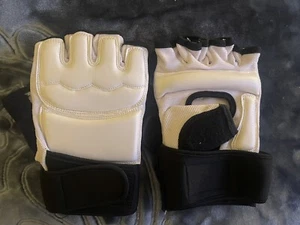 Taekwondo Handschuhe - Bild 1 von 4