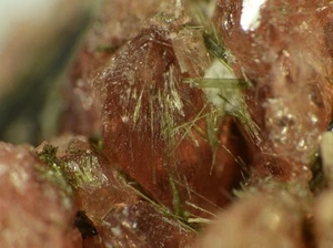 MANGANOEUDIALIDADTE de Kola, Rusia * GRAN ESPÉCIMEN TN * 2,0 cm - Imagen 1 de 5