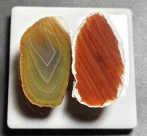 Muestra de exhibición de ágata pulida Agate Creek QLD lapidaria 16 gramos naranja, amarillo - Imagen 1 de 16