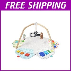 Baby Play Gym & Mat | 5 Development Zones - Picture 1 of 15