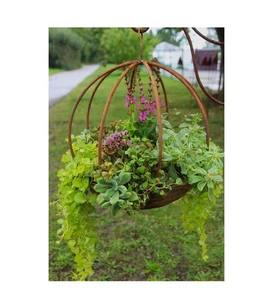 Semáforo de flores de metal cesta de plantas cesta colgante semáforo colgante cesta de plantas bola de jardín - Imagen 1 de 3