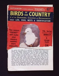 Hutchinson's New Nature "Pockets" - Birds of our Country booklet, 7th Series P - Bild 1 von 5