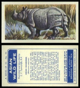 Indian Rhinoceros #44 Asian Wild Life 1962 Brooke Bond Tea Card
