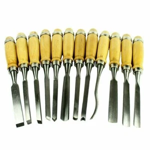 Wood Carving Hand Chisel Tool Set Professional Woodworking Gouges Steel 12 PCS - Picture 1 of 6
