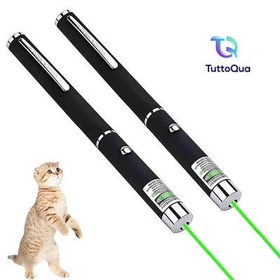 X2 o 1 PUNTATORE LASER VERDE PROFESSIONALE USO ASTRONOMICO ALTA QUALITÀ PENNA - Immagine 1 di 4