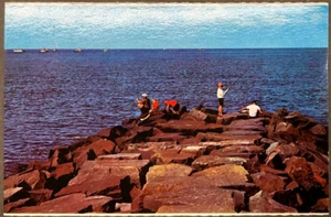 Sandy Hook NJ Jetty Fishing on the Hook SHIPS FREE - Picture 1 of 2