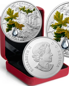 Bigleaf Maple Jewel Rain $20 2016 1OZ Silver Proof Coin Canada: Crystal Raindrop - Imagen 1 de 1