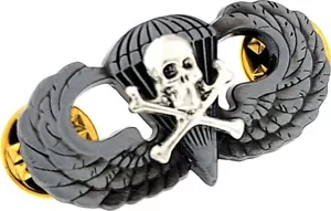Airborne Jump Wings Skull Bones OXIDIZED US Army Military Insignia Badge PIN - Picture 1 of 1