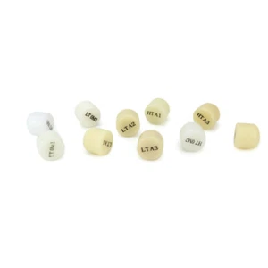 Dental HT/LT New Type Press Ingots 10pcs D13-10mm for Lithium Disilicate Block - Picture 1 of 6