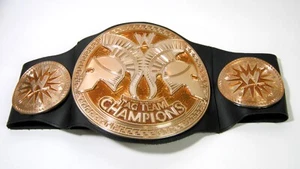 WWE 2010 Mattel Tag Team Championship Wrestling Gürtel Kinder - Bild 1 von 5