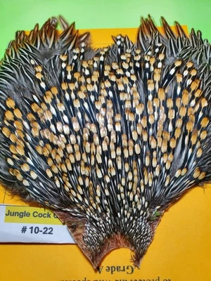 Jungle Cock Cape Grade  A   10-22 - Image 1 of 4