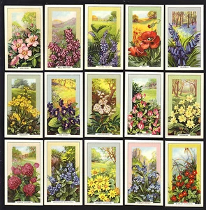 CIGARETTE CARDS. Gallaher Tobacco. WILD FLOWERS. (1939). (Complete Set of 48). - Picture 1 of 1