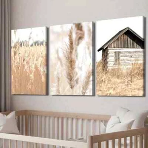 3pcs Rustic House & Reed Fields Landscape Wall Art Canvas Framed 50x70cm - Picture 1 of 3