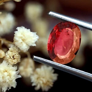 Magnificent Certified 1.12ct Natural Untreated Pinkish Red Ruby Unheated Oval - Picture 1 of 5