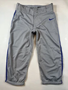 Nike Pro Vapor Baseball Pant Grey/Royal Piping AQ7979-055 Boy's Sz XL NEW. - Picture 1 of 11