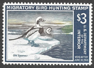MNH 1967 Federal Duck Stamp, Scott #RW34**  cv $100 - Image 1 of 3