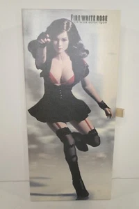 Figura Rosa Blanca Fuego Phicen TBLeague 12" Escala 1/6 PL2013-20 (2013) - Imagen 1 de 18