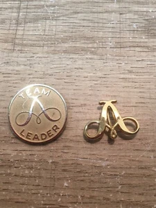 Avon Team Leader & Insignia Pins 2 Stück gelbvergoldet - Bild 1 von 3